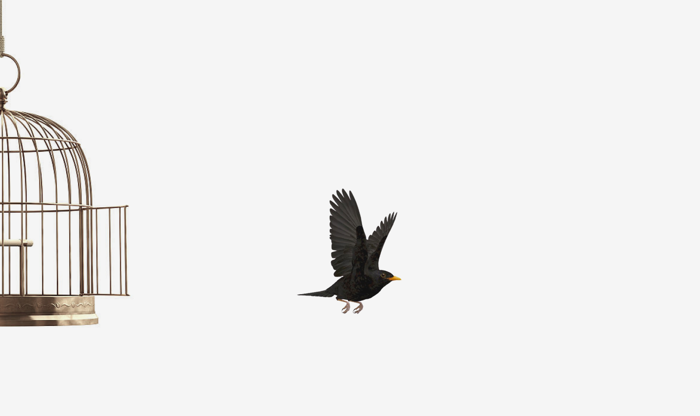 Time to take that bold leap and live life to the fullest