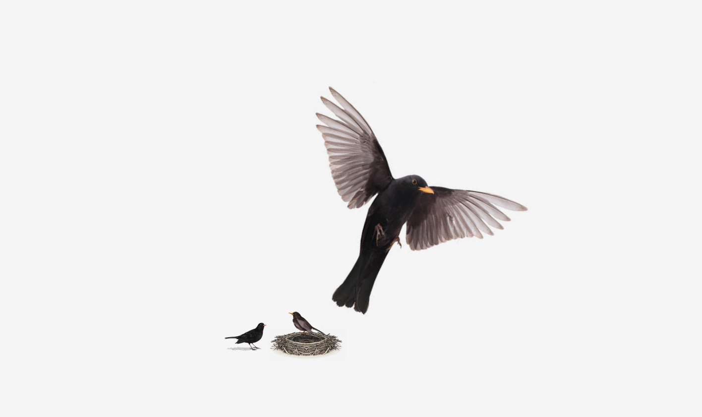 Time to take that bold leap and live life to the fullest